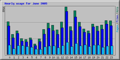 Hourly usage for June 2005